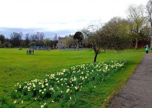 View towards Inch House from SE ; Credit: Sally Lindsay