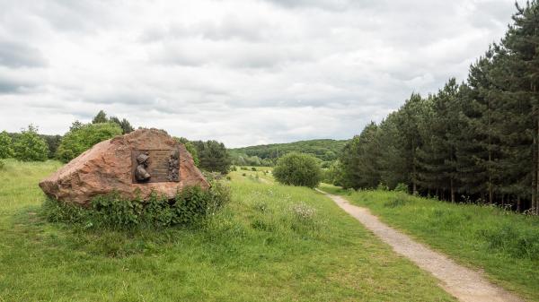 Ollerton Pit Wood