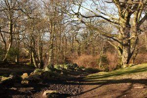 Corstorphine Hill - top of the hill in winter , Credit: Crawford Lindsay