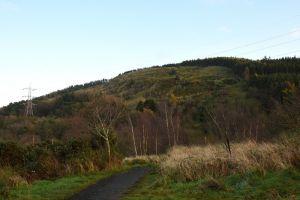 Whitehill , Credit: Sally Lindsay