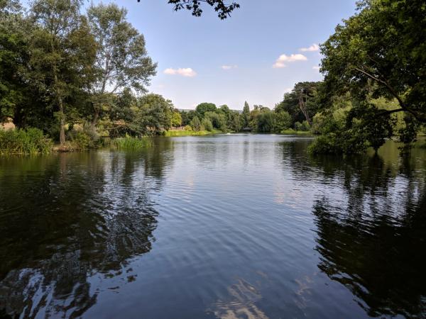 One of the lakes in the park
