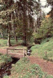 Bridge over the Dean Burn , Credit: Walter Clark