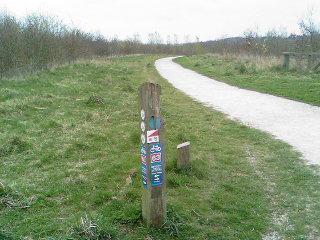 Control at Path Junction