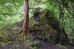 Rock Feature , Credit: Crawford Lindsay