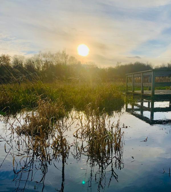 Wetland area ; Credit: Walter Clark