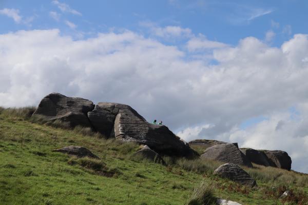 Rough open pasture.