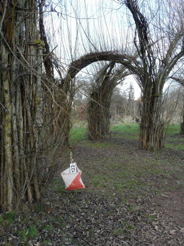 The Willow Cathedral