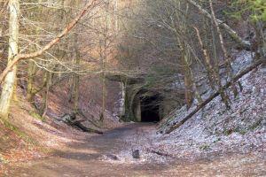 South Park Wood, West portal of Neidpath ; Credit: Jim Barton