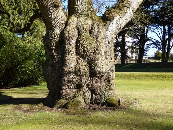 Lilleshall