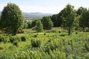 Corstorphine Hill southern extension , Credit: Crawford Lindsay