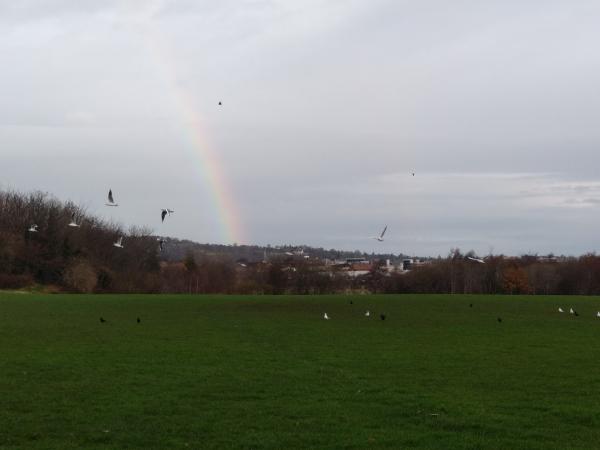 Rainbow over the park ; Credit: Katherine Kirk