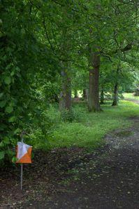 Woodland W of Hopetoun House , Credit: Crawford Lindsay