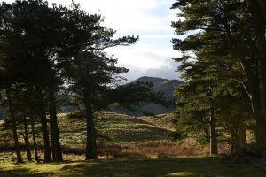 View SW from the woods , Credit: Crawford Lindsay