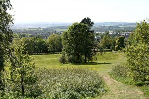 Corstorphine Hill - view W in summer , Credit: Crawford Lindsay