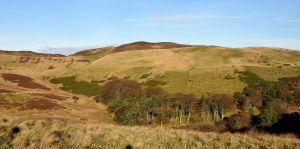 View N to Woodhouselee Hill ,  Credit: Crawford Lindsay