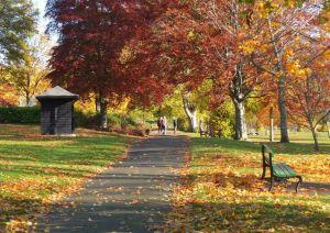 Hay Lodge Park, view E near footbridge ; Credit: Jim Barton