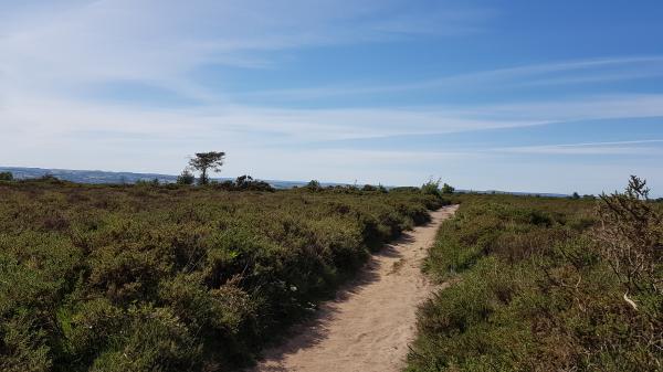 Path