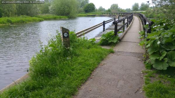 Soar Canoe Trail/ Weir