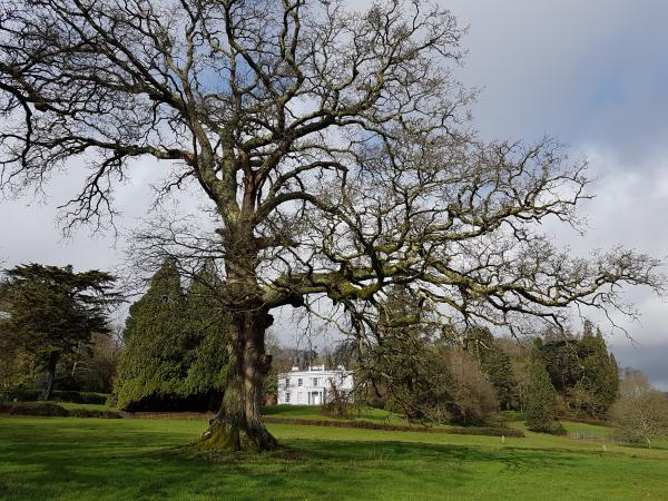 Parke, Dartmoor