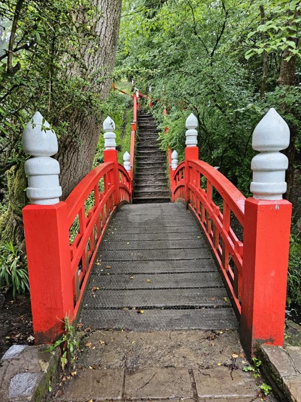Japanese Bridge