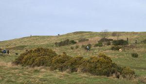 Top of Blackford Hill , Credit: Crawford Lindsay