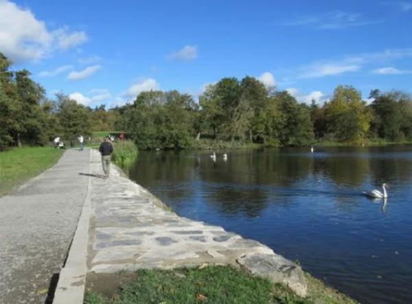 Enjoy Hillsborough Forest and Lake