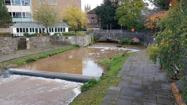 Goodlands Gardens Leat