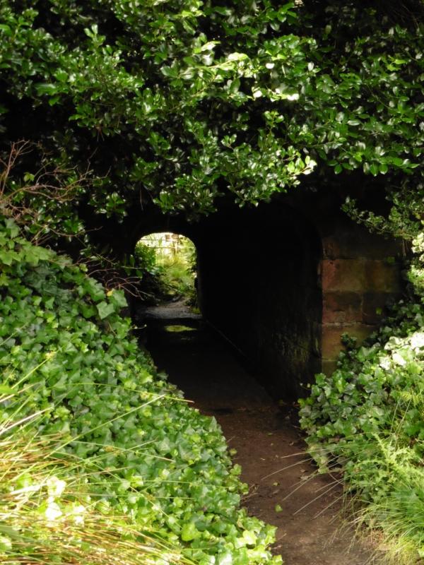 A tunnel on the orienteering course