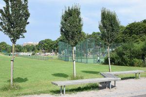 Playing fields and playpark ; Credit: Crawford Lindsay